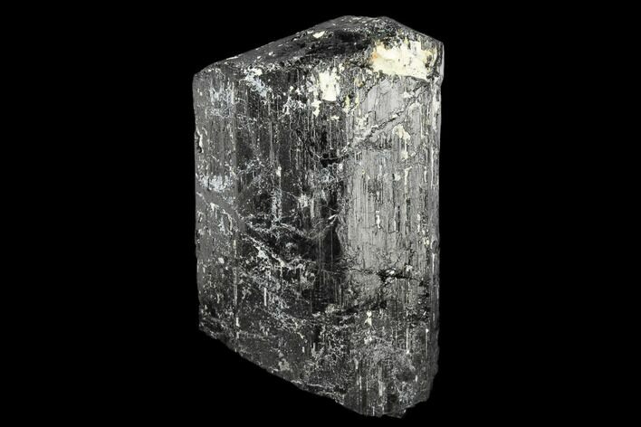 Terminated Black Tourmaline (Schorl) Crystal - Madagascar #174150
